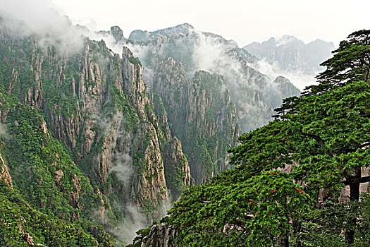 吃了能发春的药物C1B8D97C5-18975